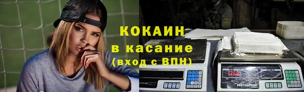 ALPHA PVP Богородицк