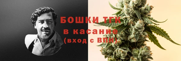 ALPHA PVP Богородицк