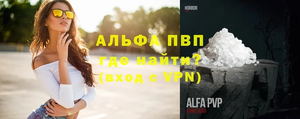 стаф Касимов