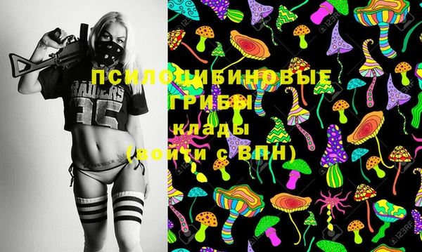 дживик Богданович