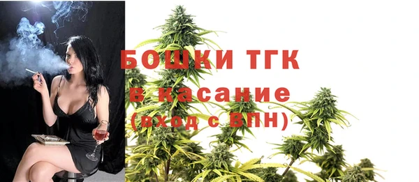 ALPHA PVP Богородицк