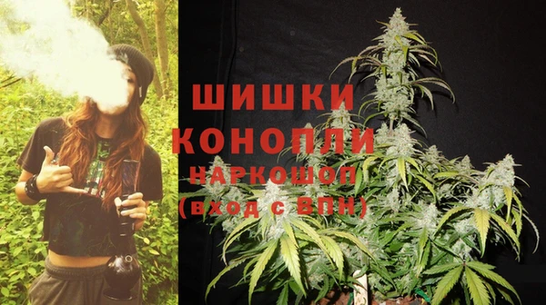 дживик Богданович
