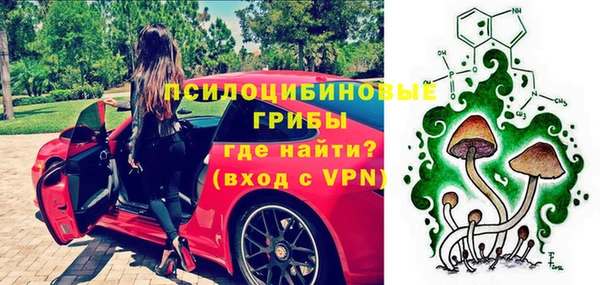 ALPHA PVP Богородицк