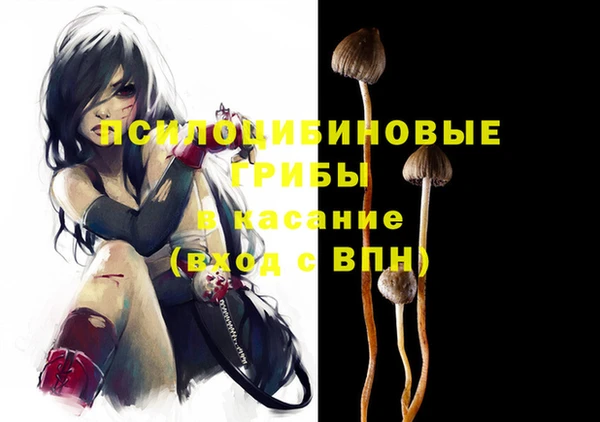 дживик Богданович
